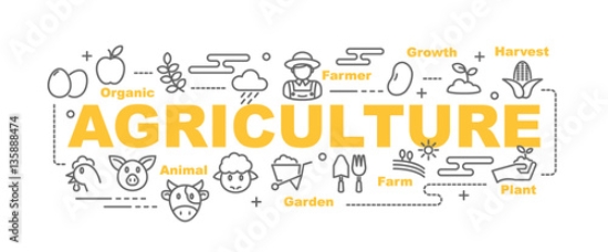 Picture of 135888474