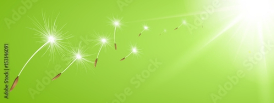 Picture of 153146091