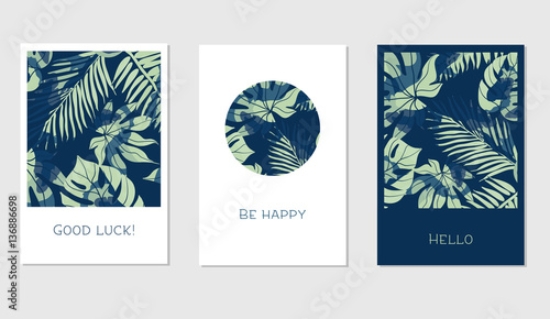 Picture of 136886698