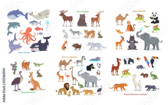 Picture of 135464144