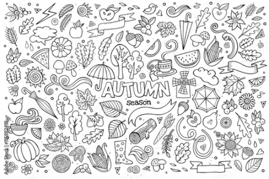 Picture of 115882491