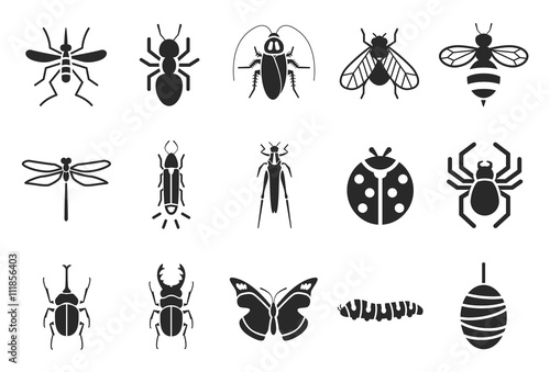 Picture of 111856403