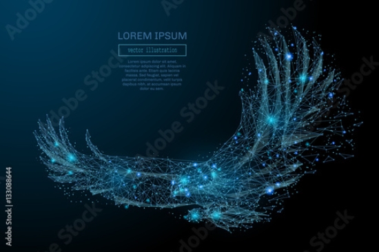 Picture of 133088644