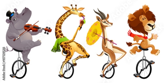 Picture of 107128538