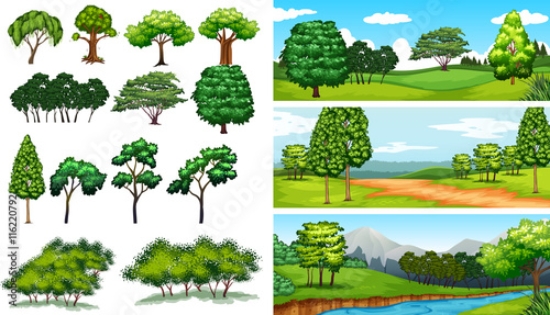 Picture of 116220792