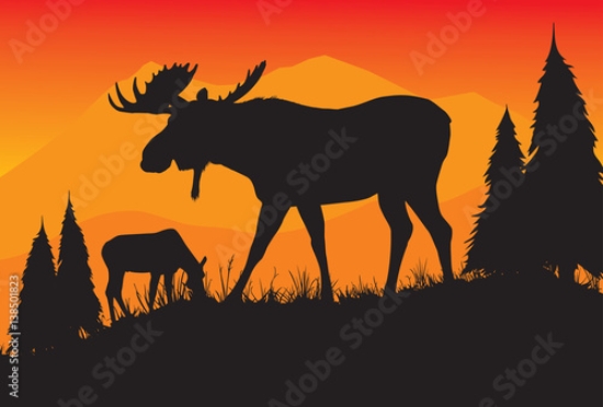 Picture of 138501823