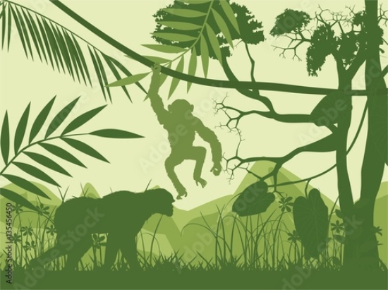 Picture of 135456450