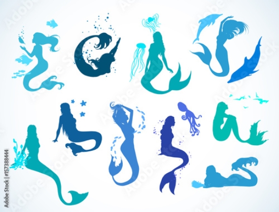 Picture of 157388444