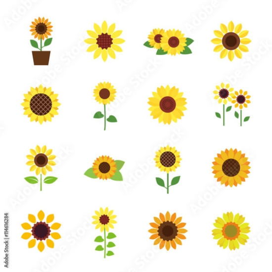 Picture of 114616284