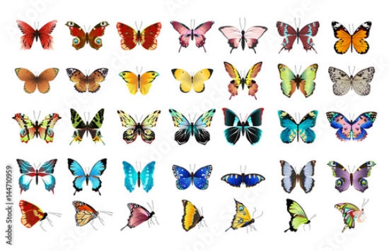 Picture of 144710959