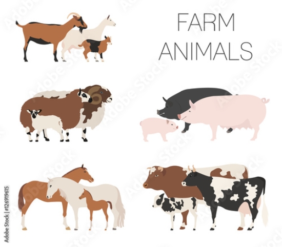 Picture of 126919615