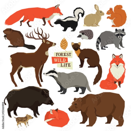 Picture of 133664814