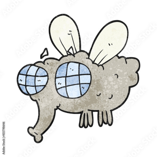 Picture of 103798646