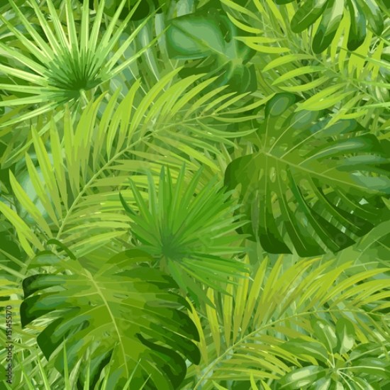 Picture of 151455170