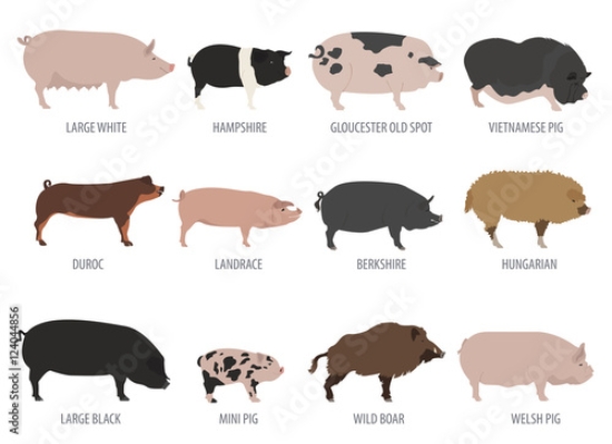 Picture of 124044856