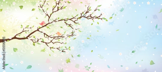 Picture of 135543915