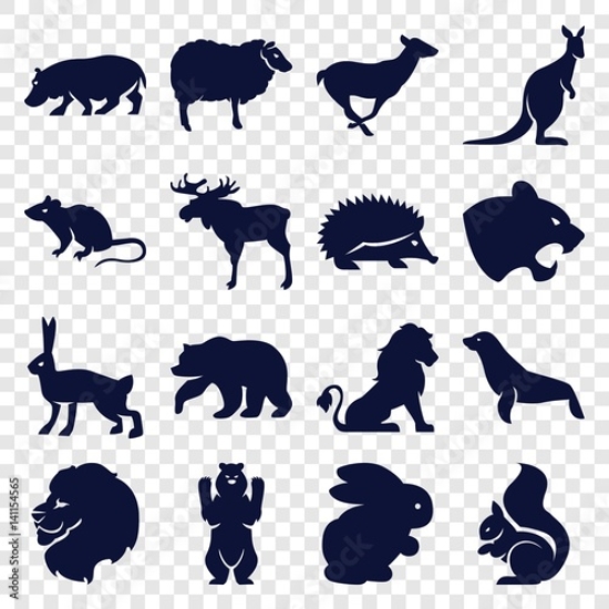 Picture of 141154565