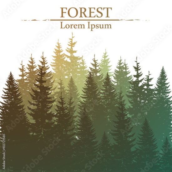 Picture of 102721580