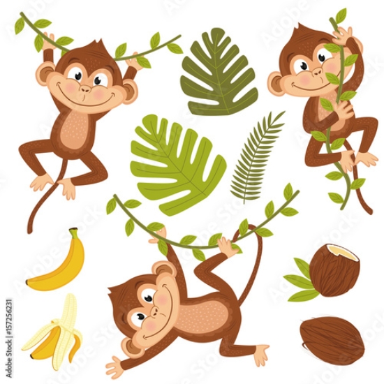 Picture of 157256231