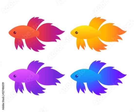 Picture of 127486519