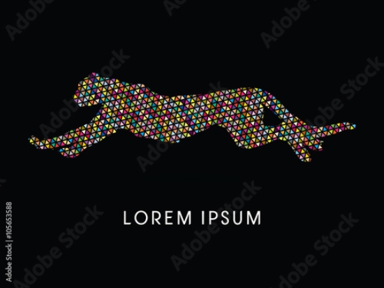 Picture of 105653588