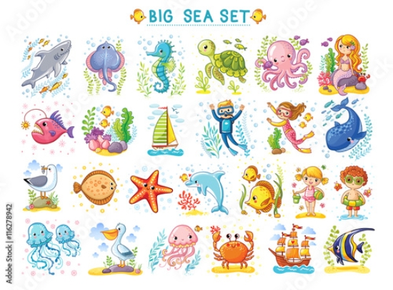 Picture of 116278942