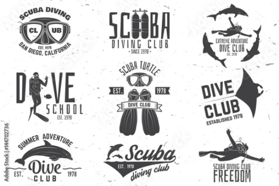 Picture of 144702736