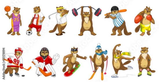 Picture of 115178894