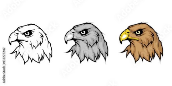 Picture of 132275247