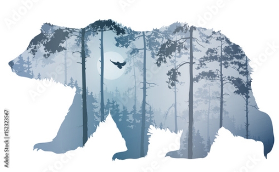 Picture of 152323567