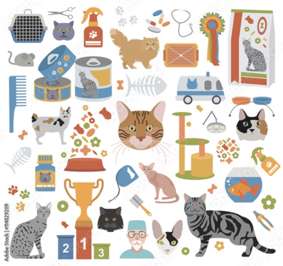 Picture of 114829209