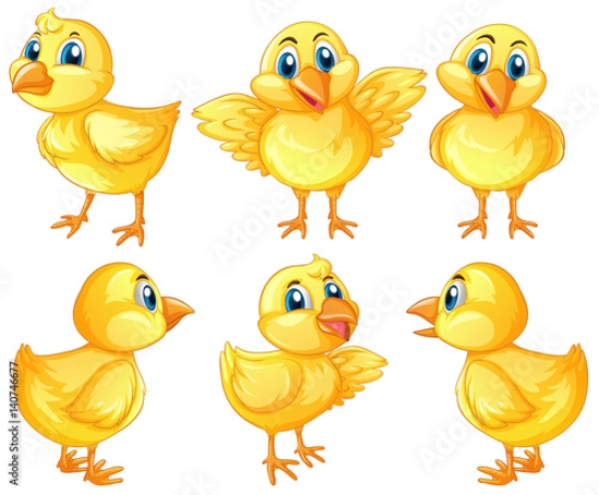 Picture of 140746677