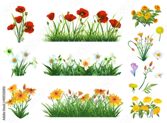 Picture of 105502813