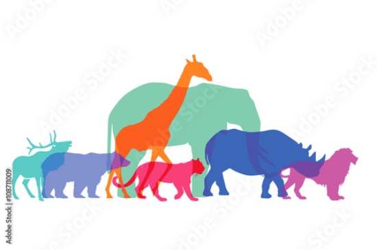 Picture of 108711009