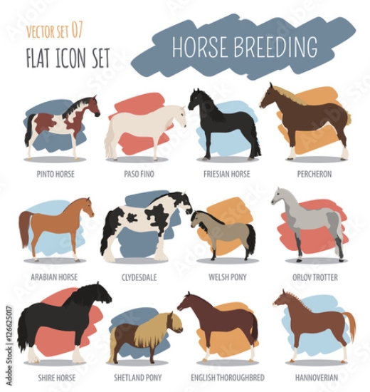 Picture of 126625017