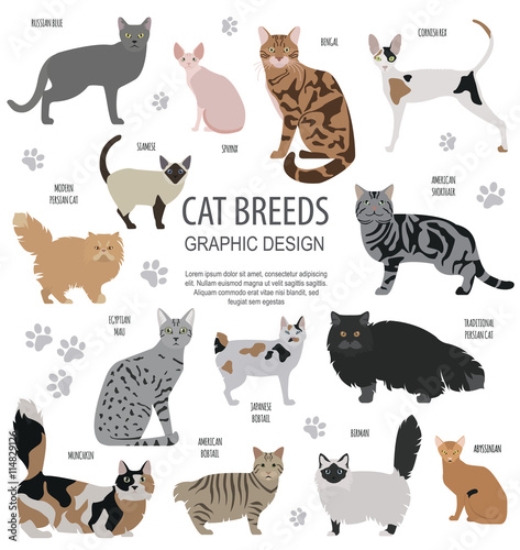 Picture of 114829126