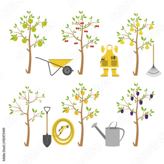 Picture of 112475449