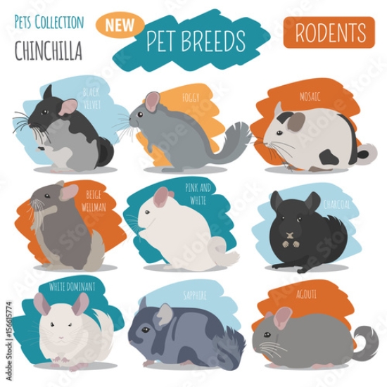 Picture of 156615774