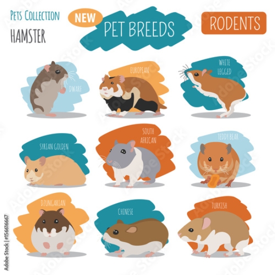 Picture of 156616667