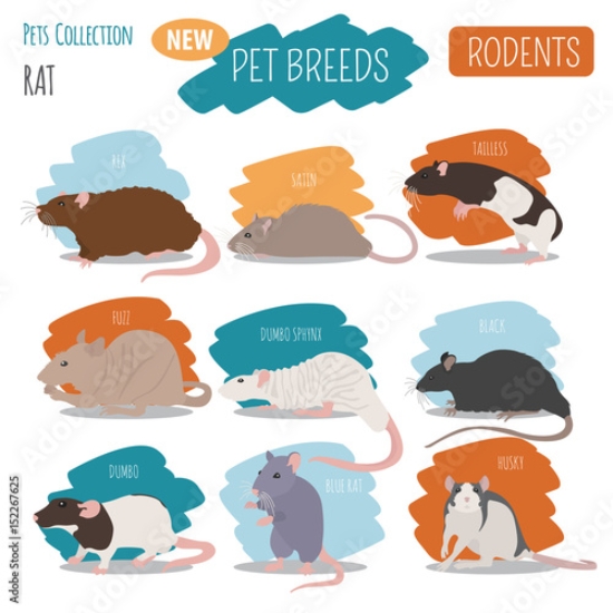 Picture of 152267625