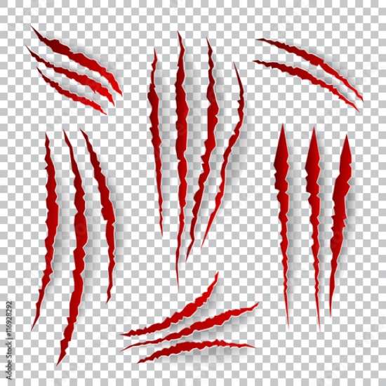 Picture of 116928292