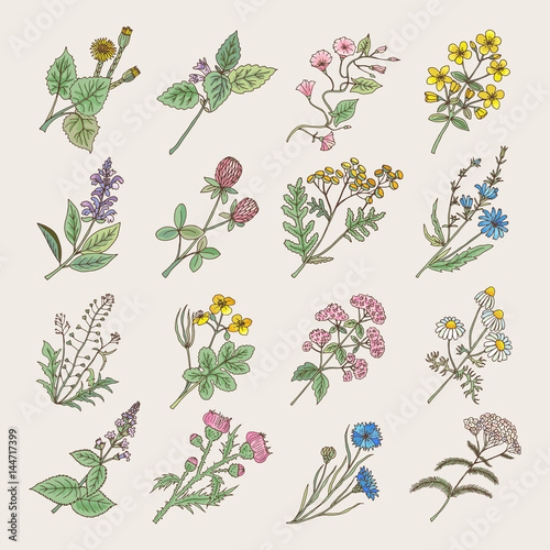 Picture of 144717399