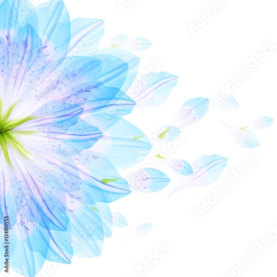 Picture of 134180558