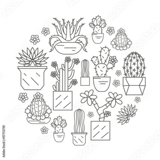 Picture of 117753781