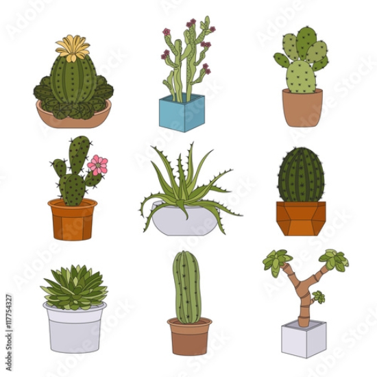 Picture of 117754327