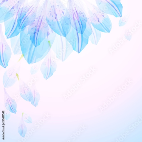 Picture of 133421542