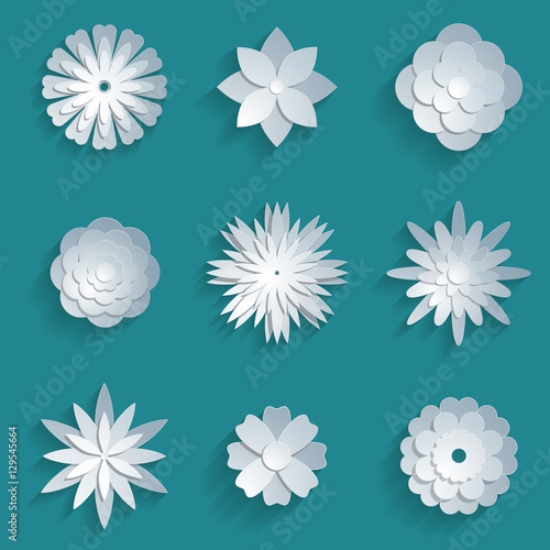 Picture of 129545664