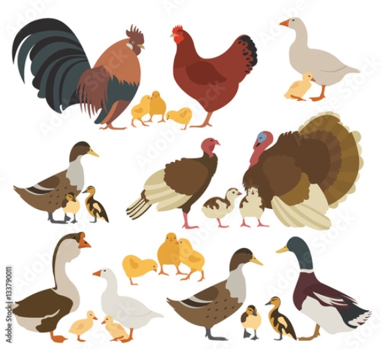 Picture of 133790011