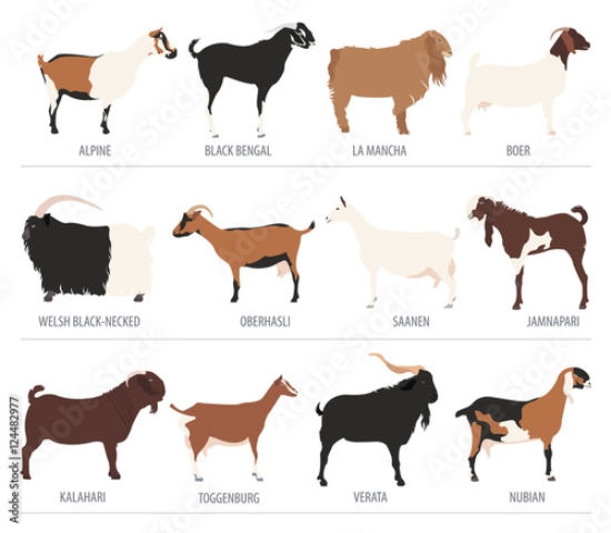 Picture of 124482977