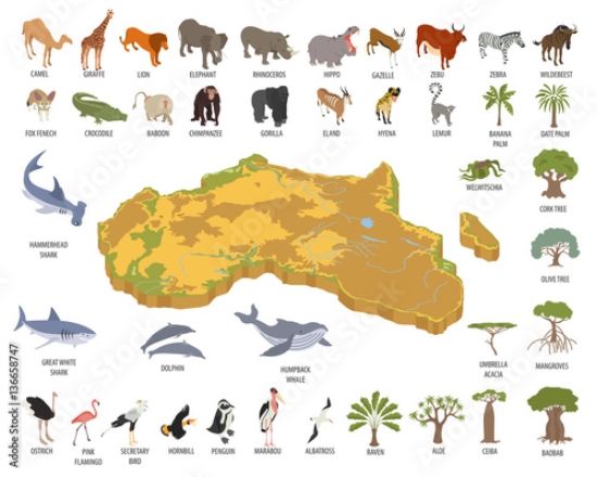 Picture of 136658747